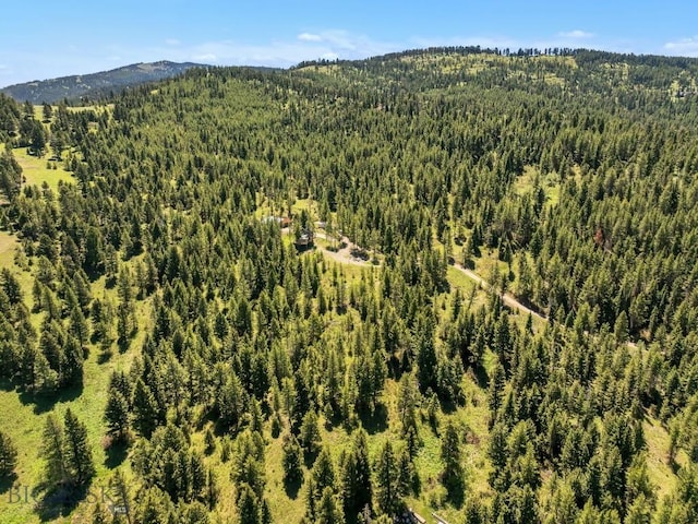 601 Forest Hills Rd, Bozeman, MT 59715 - photo 66