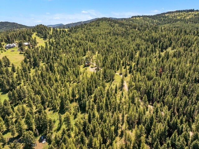 601 Forest Hills Rd, Bozeman, MT 59715 - photo 68