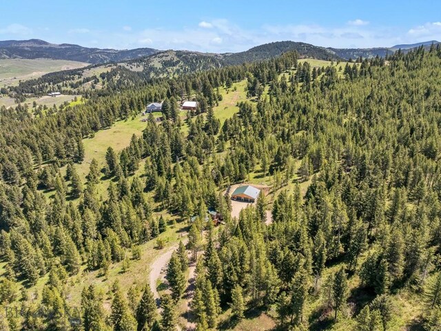 601 Forest Hills Rd, Bozeman, MT 59715 - photo 67