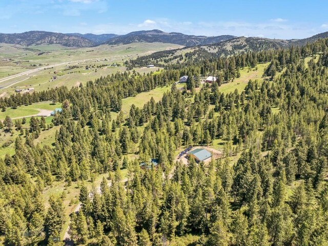 601 Forest Hills Rd, Bozeman, MT 59715 - photo 69