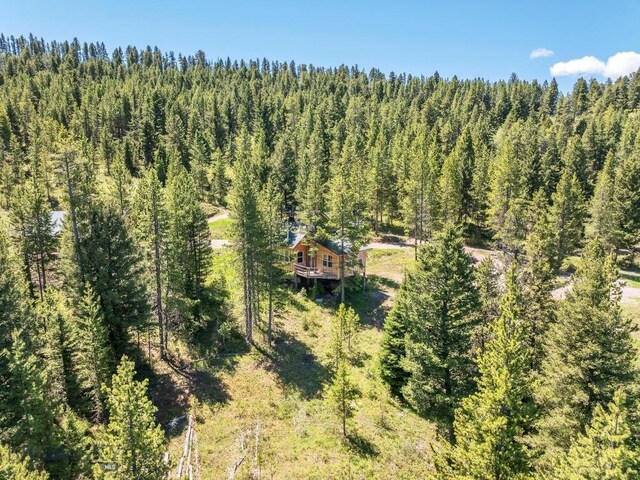 601 Forest Hills Rd, Bozeman, MT 59715 - photo 70