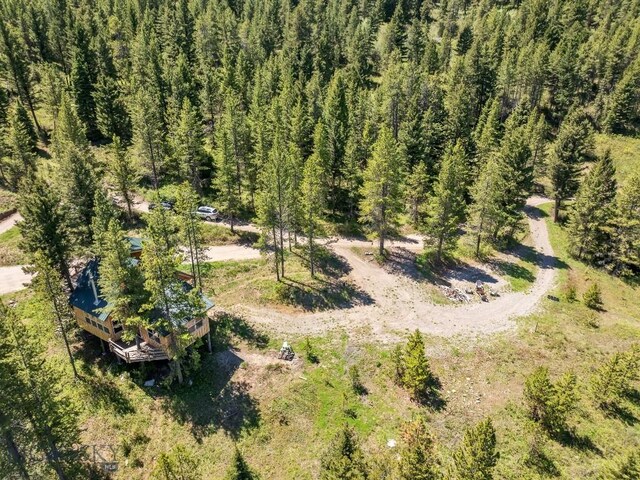 601 Forest Hills Rd, Bozeman, MT 59715 - photo 71