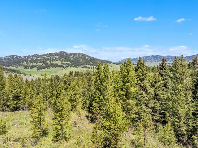 601 Forest Hills Rd, Bozeman, MT 59715 - photo 65