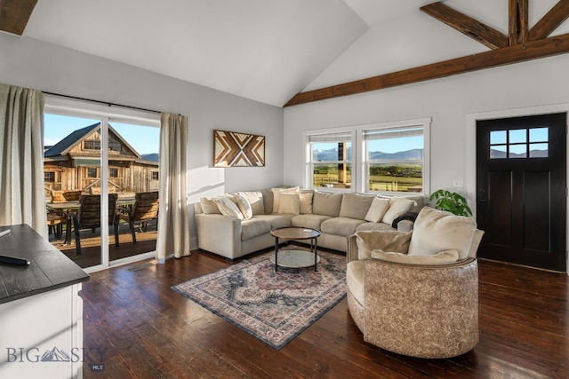 64 Duke Dr, Harrison, MT 59735 - living room featuring dark wood-type flooring, lofted ceiling, and healthy amount of natural light