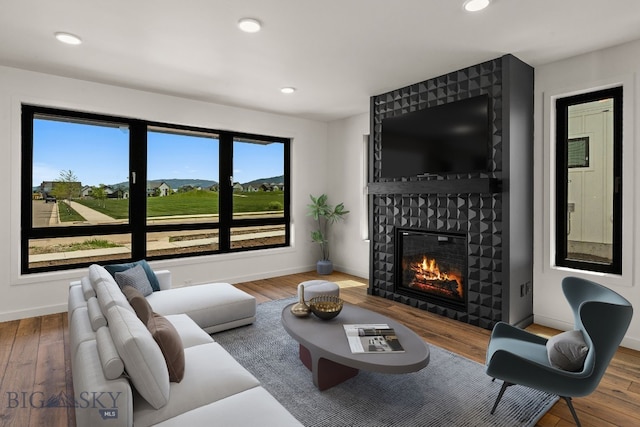2939 S 30th Ave, Bozeman, MT 59718 - living room with baseboards, a large fireplace, wood finished floors, and recessed lighting