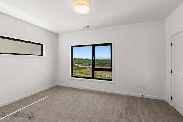 2939 S 30th Ave, Bozeman, MT 59718 - carpeted empty room with baseboards
