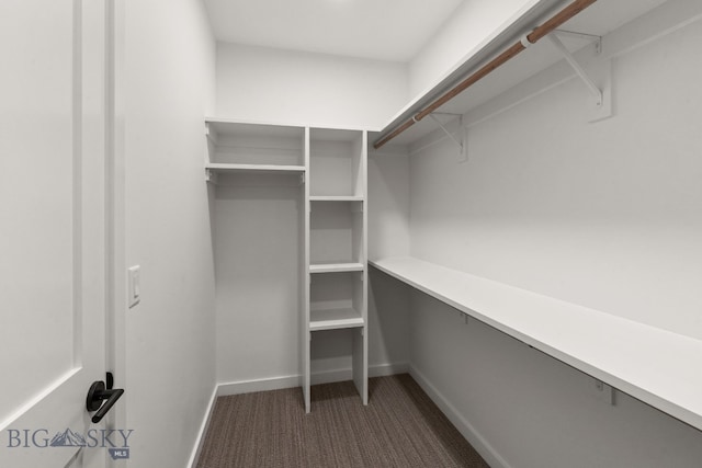 2939 S 30th Ave, Bozeman, MT 59718 - walk in closet featuring dark colored carpet