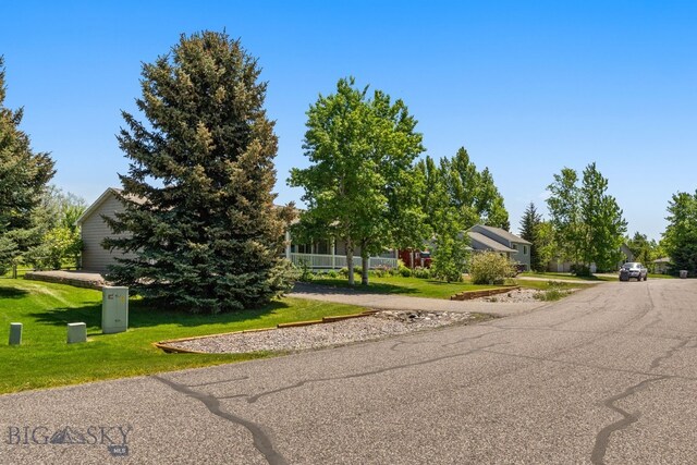 370 Prospector, Bozeman, MT 59718 - view of front facade featuring a front lawn