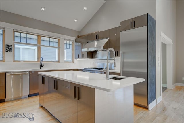 113 Nash Creek Ln, Bozeman, MT 59715 - kitchen featuring appliances with stainless steel finishes, a sink, light wood-style floors, under cabinet range hood, and light countertops