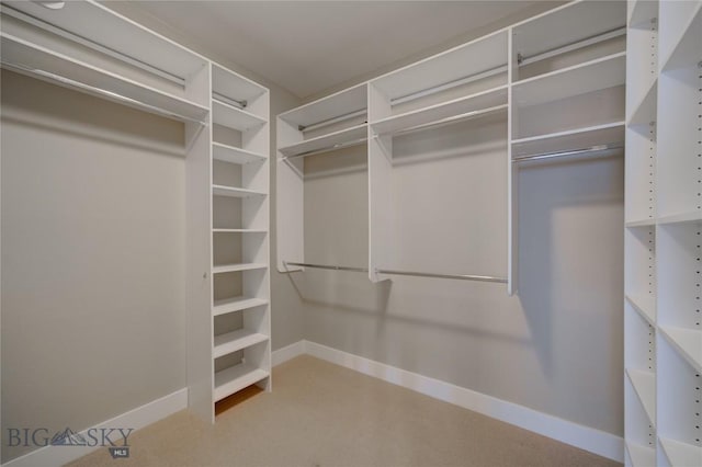 113 Nash Creek Ln, Bozeman, MT 59715 - view of walk in closet