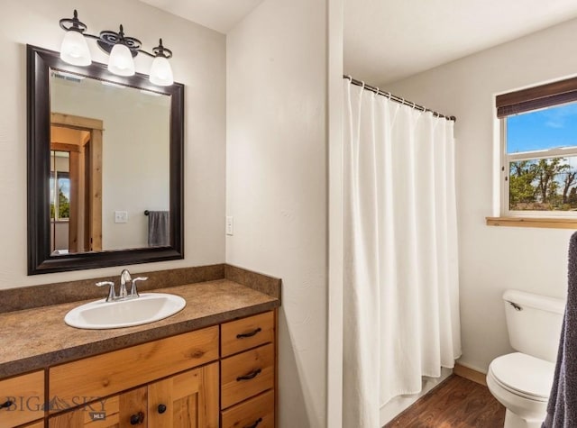 205 Water St, Sheridan, MT 59749 - full bath featuring vanity, wood finished floors, and a shower with shower curtain