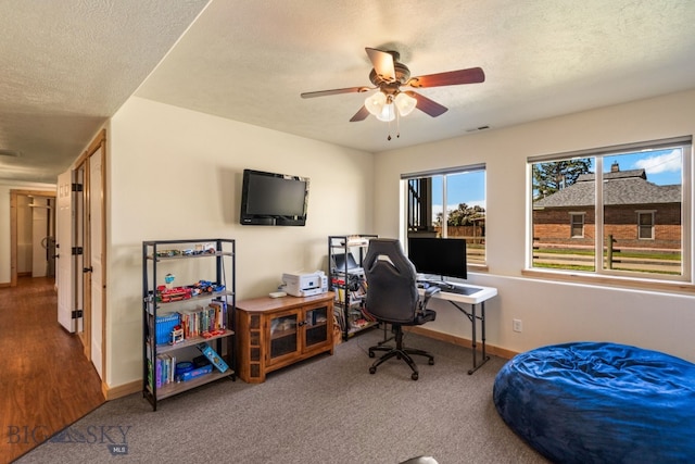 205 Water St, Sheridan, MT 59749 - carpeted office space with a ceiling fan and a textured ceiling