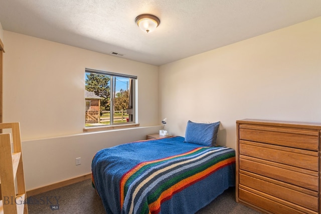 205 Water St, Sheridan, MT 59749 - carpeted bedroom with baseboards