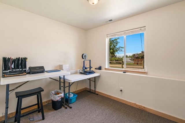 205 Water St, Sheridan, MT 59749 - home office featuring carpet floors and baseboards