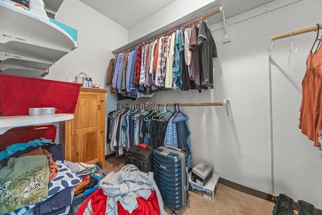 191 Barnes Dr, Belgrade, MT 59714 - walk in closet featuring carpet floors