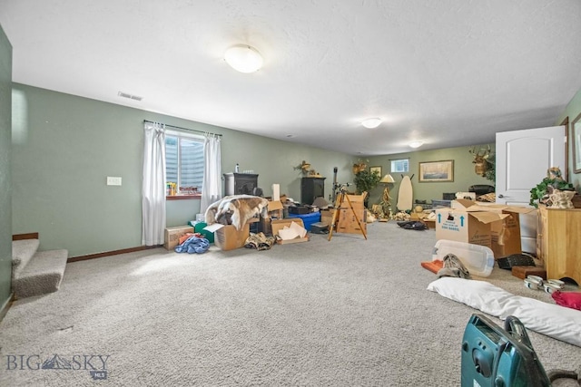 191 Barnes Dr, Belgrade, MT 59714 - recreation room featuring carpet flooring, a wood stove, and plenty of natural light