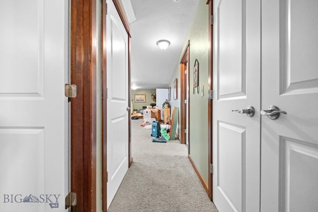 191 Barnes Dr, Belgrade, MT 59714 - corridor featuring carpet floors