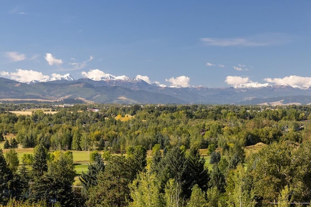 2421 Highland Blvd, Bozeman, MT 59715 - mountain view with a forest
