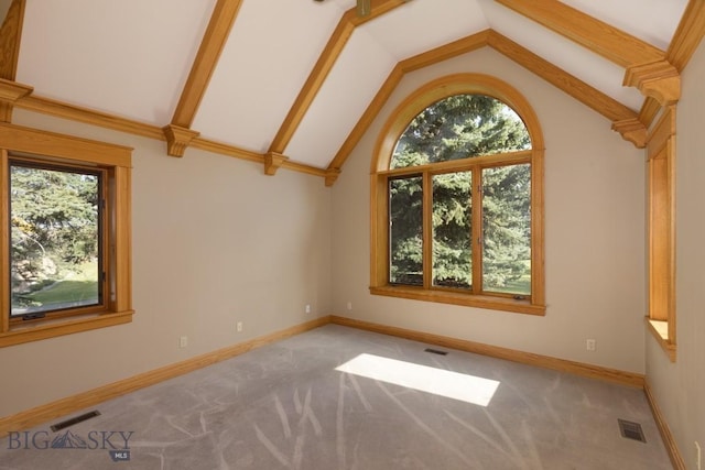 2421 Highland Blvd, Bozeman, MT 59715 - spare room with healthy amount of natural light, carpet, high vaulted ceiling, and baseboards