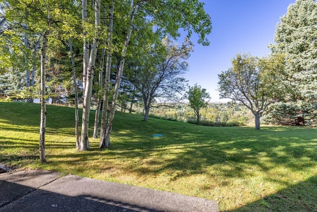 2421 Highland Blvd, Bozeman, MT 59715 - view of green lawn