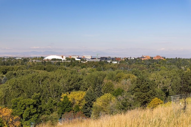 2421 Highland Blvd, Bozeman, MT 59715 - view of wooded area