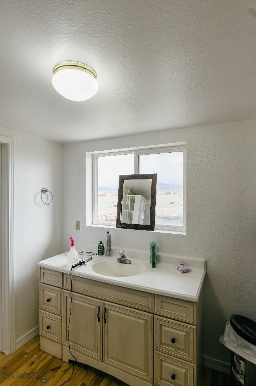 2373 Mt Highway 278, Dillon, MT 59725 - bathroom with wood finished floors, vanity, and a textured ceiling