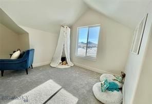 17 Durango Trl, Three Forks, MT 59752 - additional living space with vaulted ceiling, carpet, and baseboards
