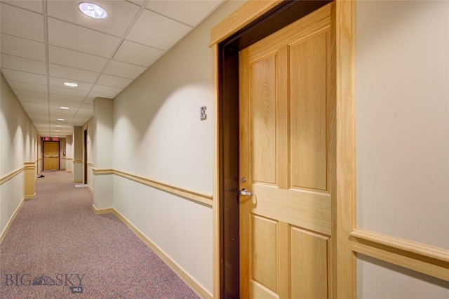 424 E Main St Unit E, Bozeman, MT 59715 - hallway with carpet floors, baseboards, a paneled ceiling, and recessed lighting