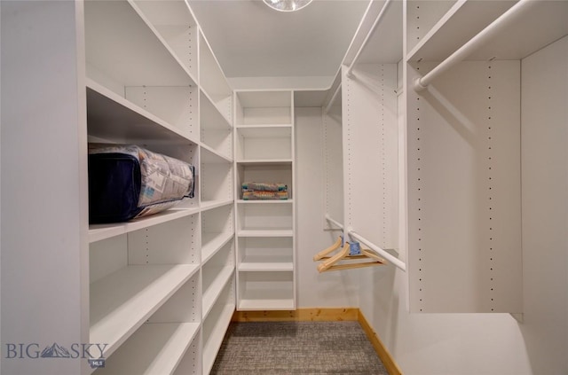 424 E Main St Unit E, Bozeman, MT 59715 - view of walk in closet