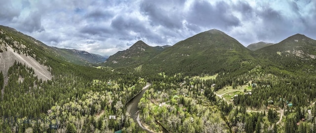 23AND24 Moose Haven Loop, Mcleod, MT 59052 - photo 45