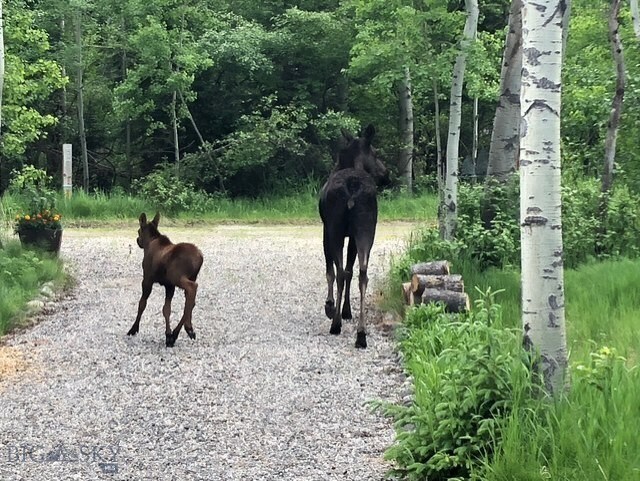 23AND24 Moose Haven Loop, Mcleod, MT 59052 - photo 50