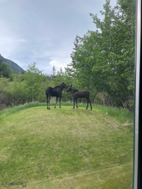 23AND24 Moose Haven Loop, Mcleod, MT 59052 - photo 51