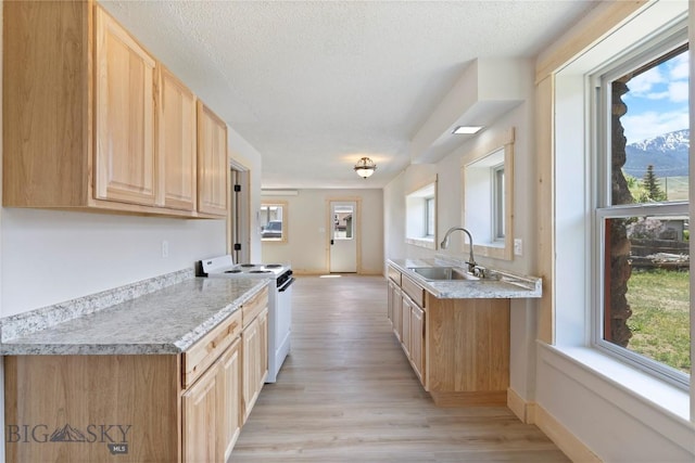 312 Water St, Gardiner, MT 59030 - kitchen featuring electric stove, light wood-style flooring, light brown cabinets, light countertops, and a textured ceiling