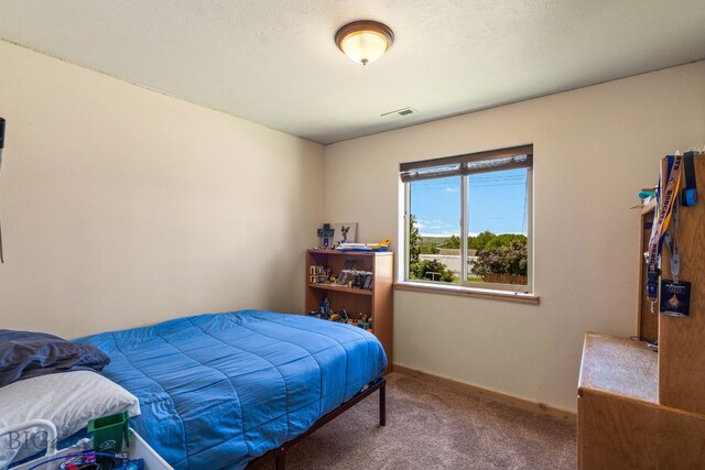 205 Water St, Sheridan, MT 59749 - carpeted bedroom featuring baseboards