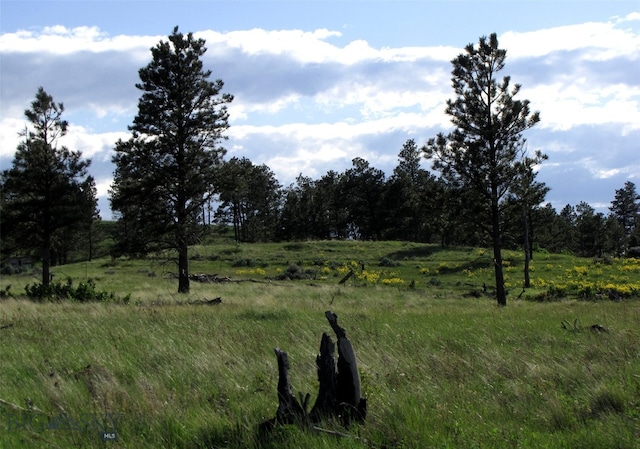 151 Big Clearing Rd, Roundup, MT 59072