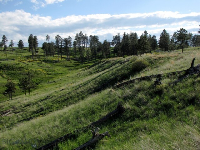 151 Big Clearing Rd, Roundup, MT 59072