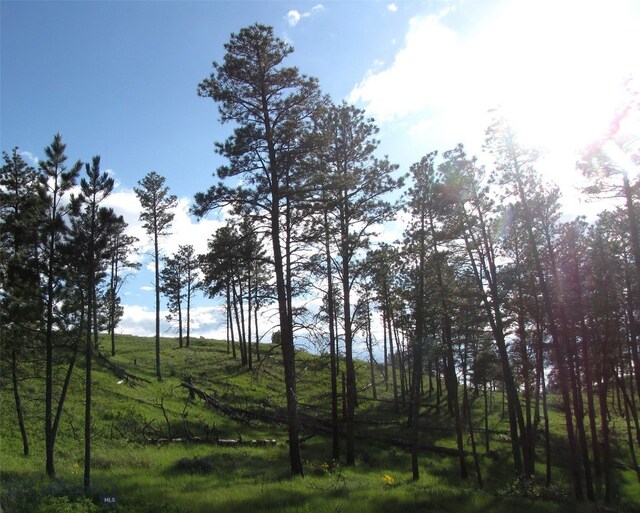 151 Big Clearing Rd, Roundup, MT 59072
