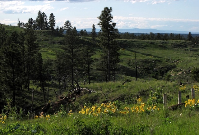 151 Big Clearing Rd, Roundup, MT 59072