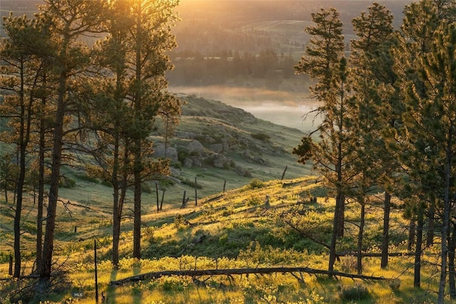 151 Big Clearing Rd, Roundup, MT 59072