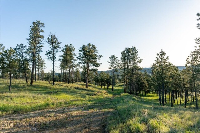 151 Big Clearing Rd, Roundup, MT 59072