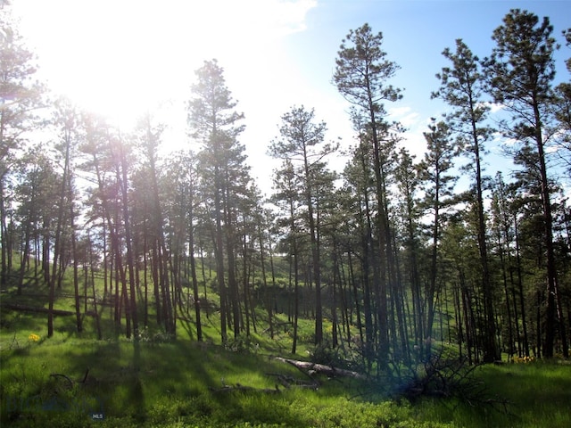 151 Big Clearing Rd, Roundup, MT 59072