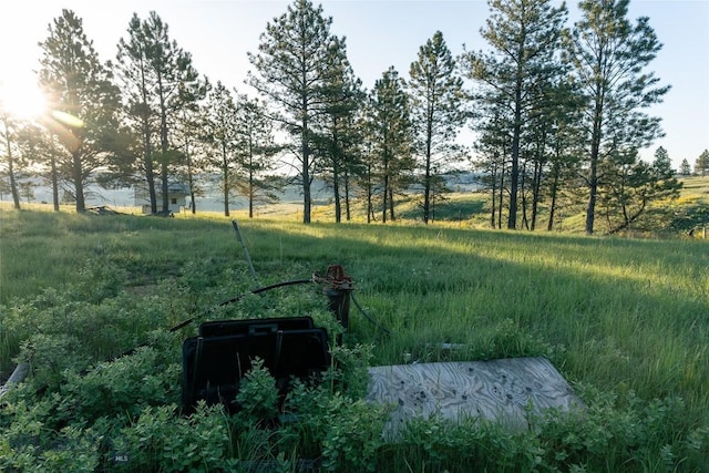 151 Big Clearing Rd, Roundup, MT 59072