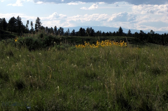 151 Big Clearing Rd, Roundup, MT 59072