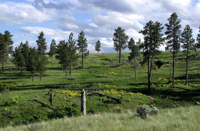 151 Big Clearing Rd, Roundup, MT 59072