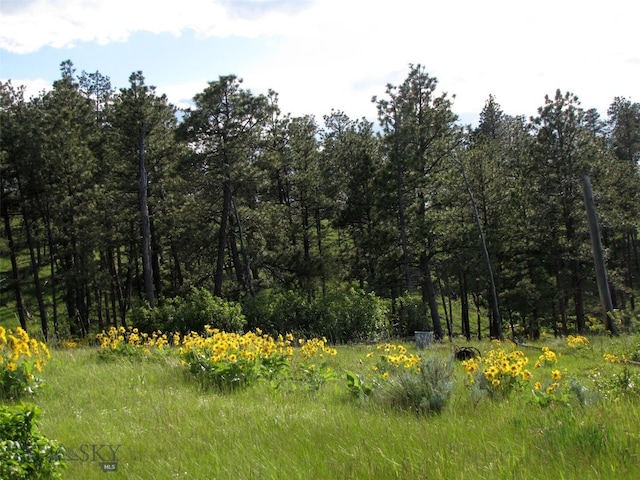 151 Big Clearing Rd, Roundup, MT 59072