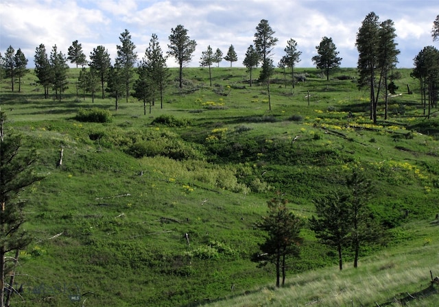 151 Big Clearing Rd, Roundup, MT 59072