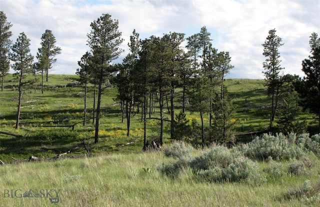 151 Big Clearing Rd, Roundup, MT 59072