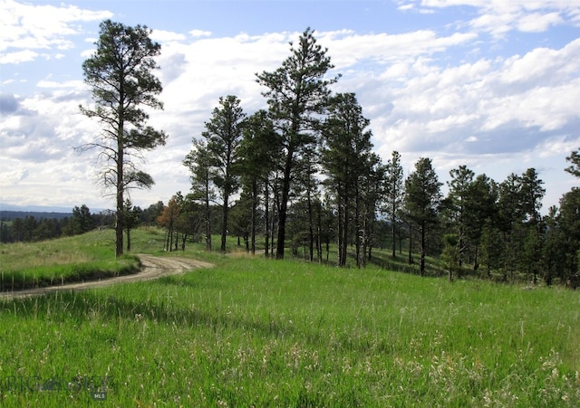 151 Big Clearing Rd, Roundup, MT 59072