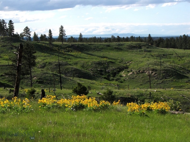 151 Big Clearing Rd, Roundup, MT 59072