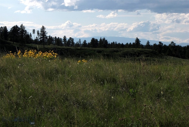 151 Big Clearing Rd, Roundup, MT 59072